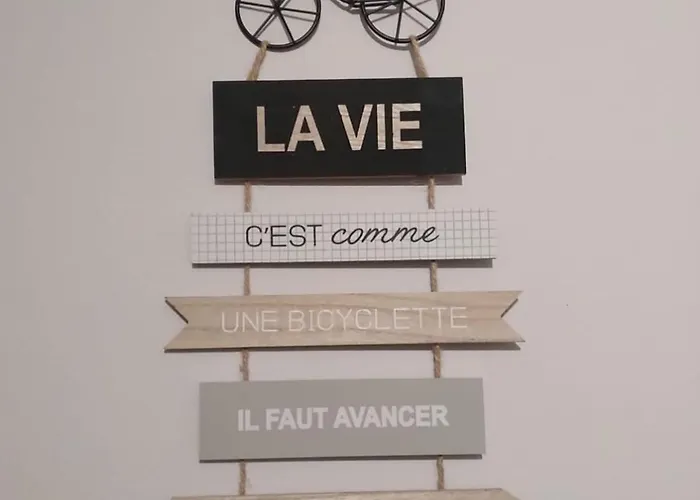 公寓 Le Loire A Velo - Gare De *